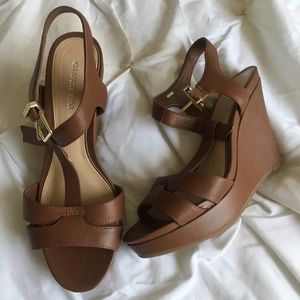 Chestnut Wedges